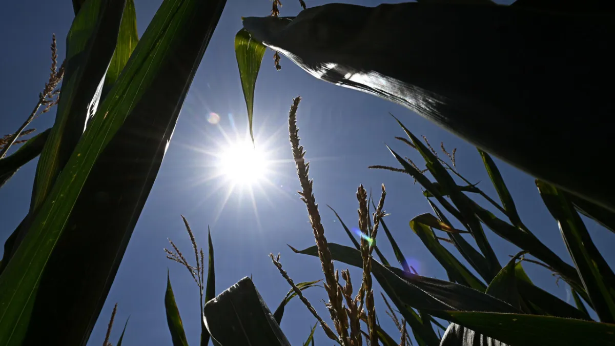 Sardinia Scorched: Third Heatwave Threatens Until July 20, 2026!