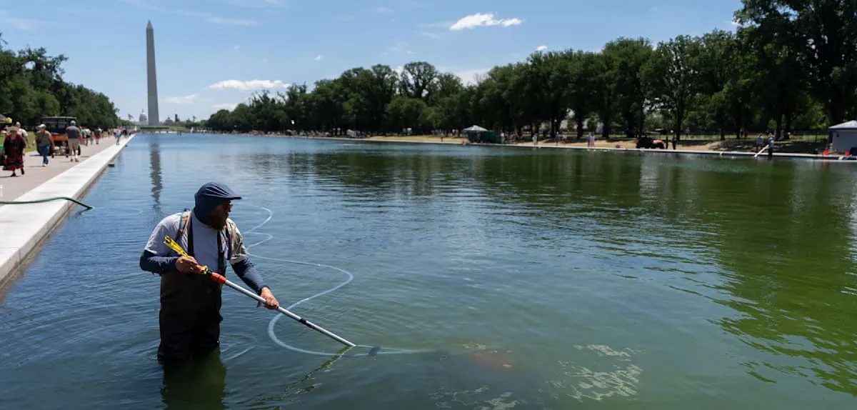 Skandal Kolam Refleksi Washington: Air Hijau, Trump Tuntut Vandal Dipenjara!