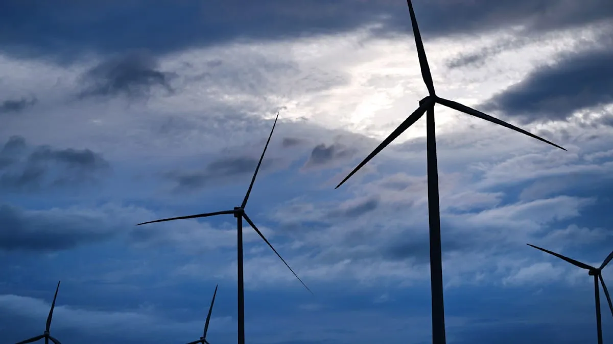 German Court Ruling: Schleswig-Holstein Municipality Reaps Billions from Wind Tax