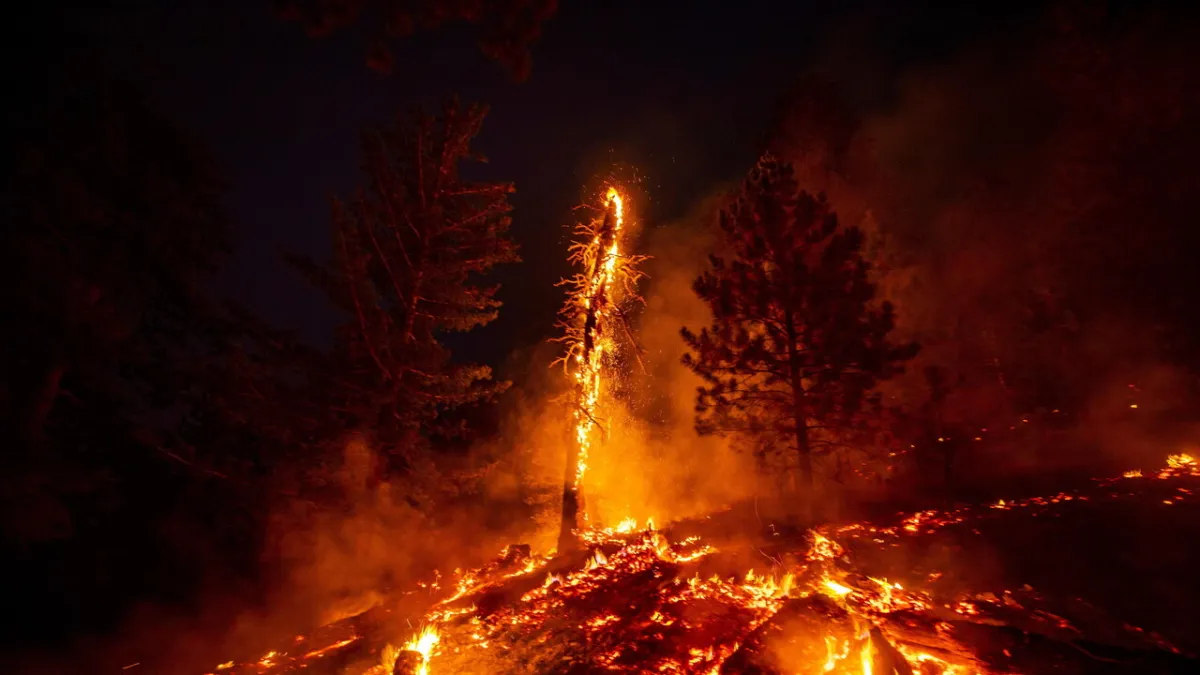Piedmont Declares Emergency: Hundreds of Hectares Scorched, Ecological Catastrophe Looms in Northern Italy