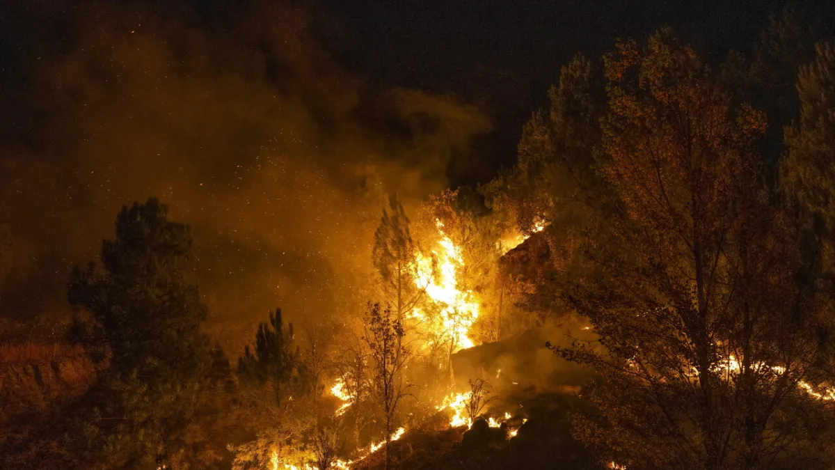 Andalusia Devastated: Massive Forest Fire Claims 11 Lives Tragically