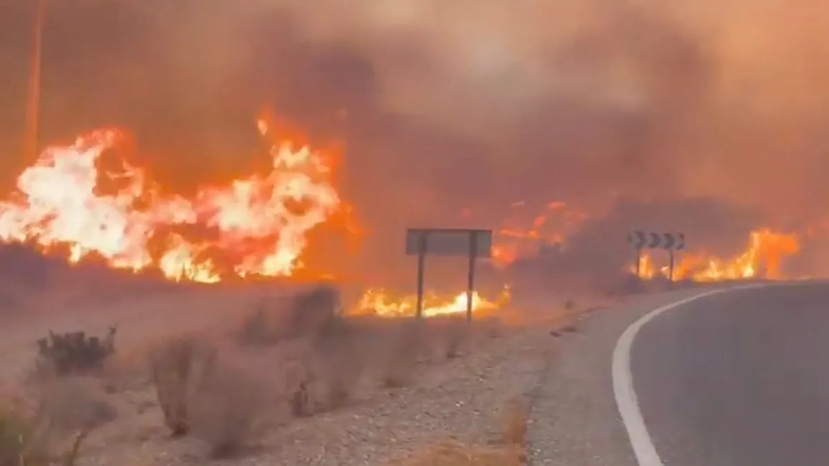 Almería Mencekam: 12 Turis Tewas Terjebak Amukan Api Hutan Spanyol