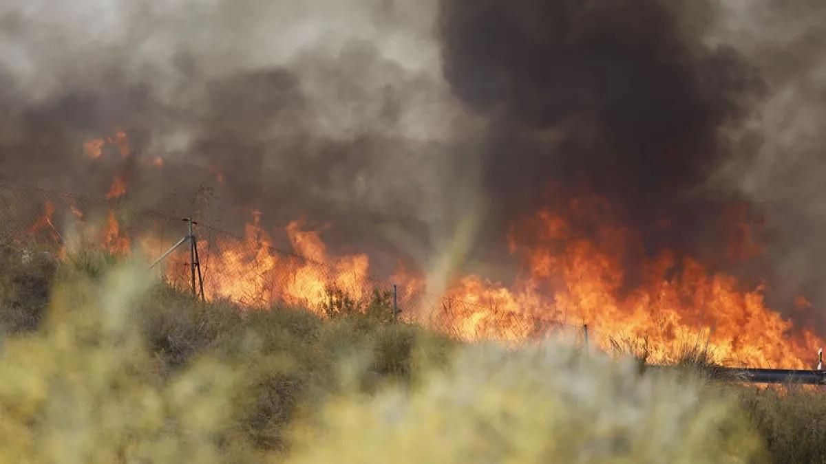 Andalusia Tragedy: Forest Fire Claims Dozens, Thousands Displaced
