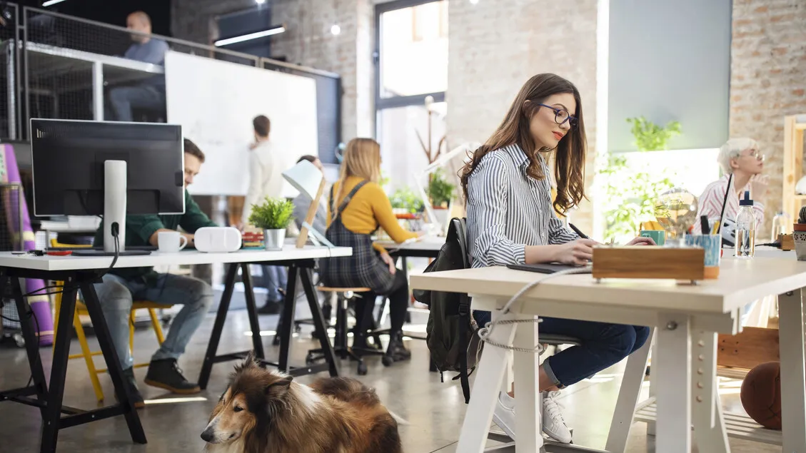 Kantor Ramah Hewan Peliharaan Melonjak: Solusi Produktivitas Modern?