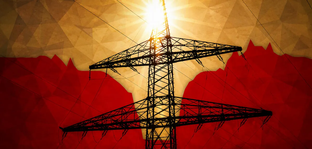Germany's Negative Power Prices: Energy Paradox Yields Millions in Profit Opportunities!