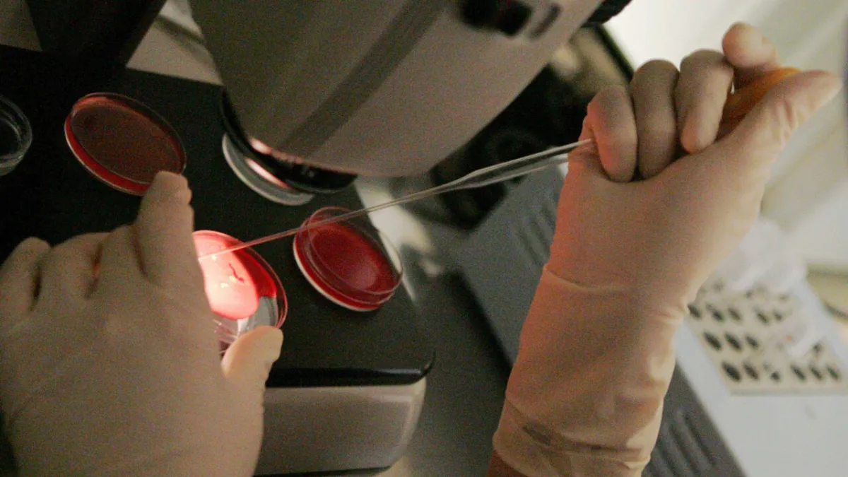Embryo Mix-Up Scandal Rocks San Raffaele Milan: Fertility Services Halted!