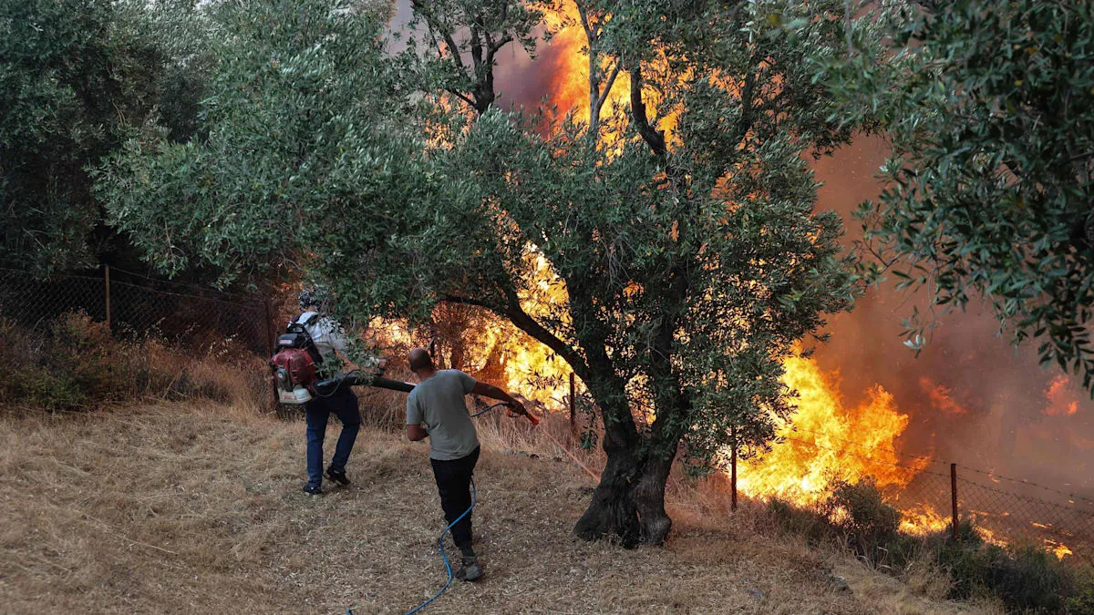 Climate Crisis Ignites: Greece, Turkey Battle Massive Wildfires, Southern Europe on Edge