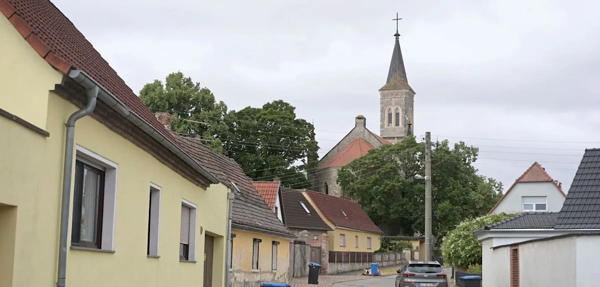 Toddler Dies in Pet Dog Attack, German Dog Law Under Scrutiny
