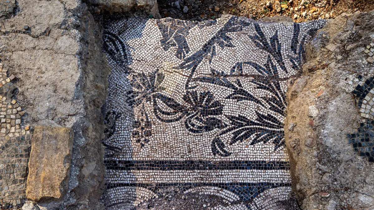 Rome Stunned: 2nd Century Dolphin Mosaics Unearthed at Ancient Fire Station
