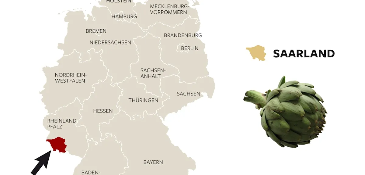 Geograf Jerman Temukan Wilayah Misterius Seluas Saarland