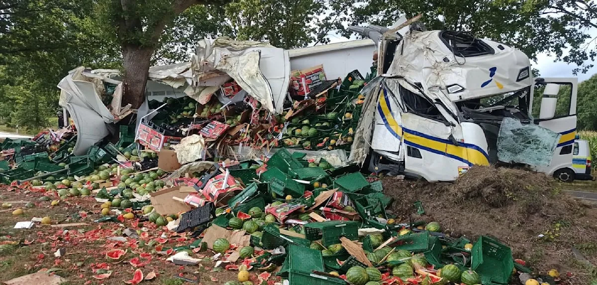 Sopir Truk Melaju dengan 4,09 Promil, Tabrak Pohon, 22 Ton Semangka Hancur