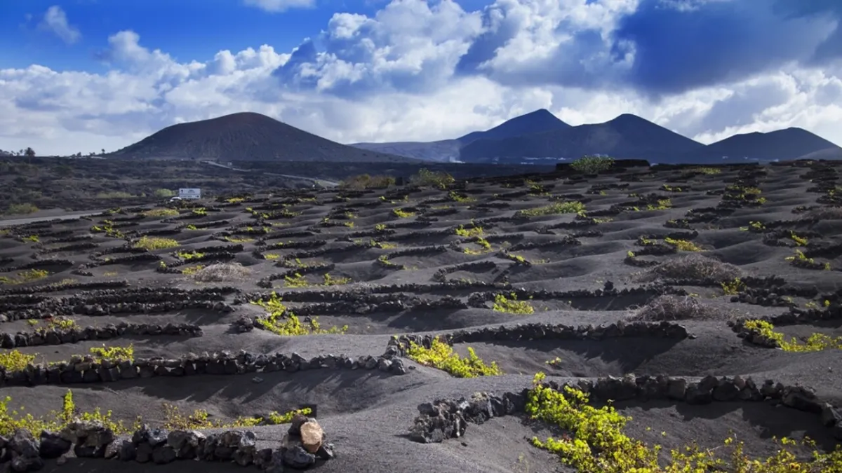 Lanzarote's Volcanic Cuisine Gains FAO Recognition: Sustainable Culinary Ingenuity Charms Global Palates