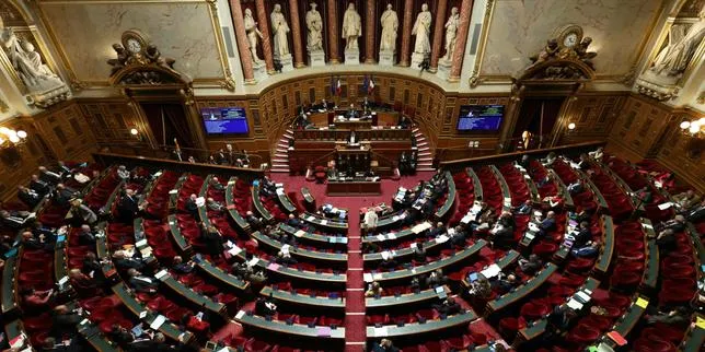 Senat Prancis Sahkan Regulasi Pendidikan Swasta: Ancaman Bagi Universitas Negeri?