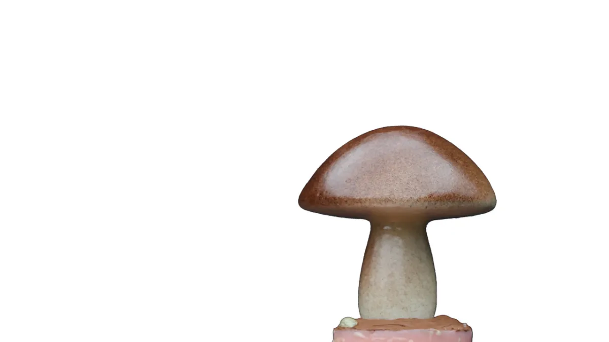 IgNobel Prizes 2026 Shock Europe: Splash-Proof Urinals, Buried Underwear Honored