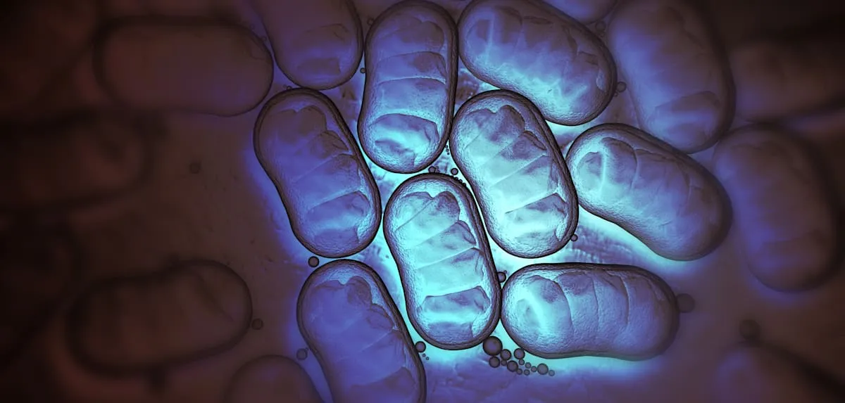 Avoid Sugar! This Sweet Substance Multiplies Gut Damage From Antibiotics.