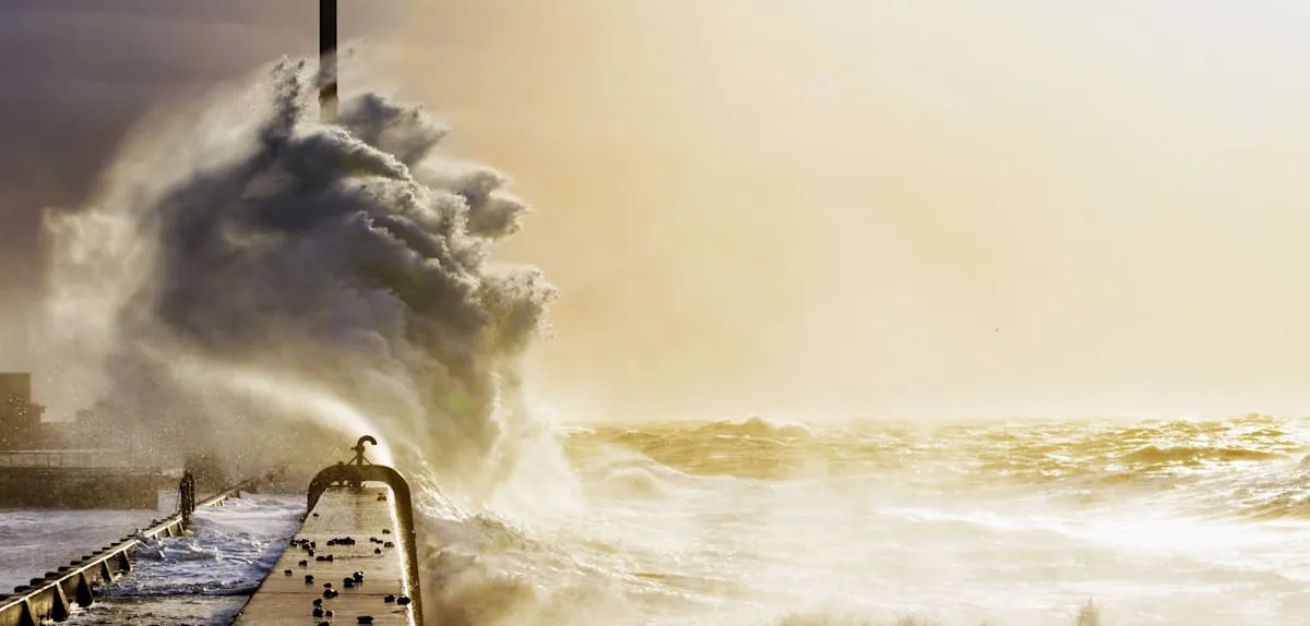 Death's Call in Le Havre: Life's Waves Claim Buried Secrets