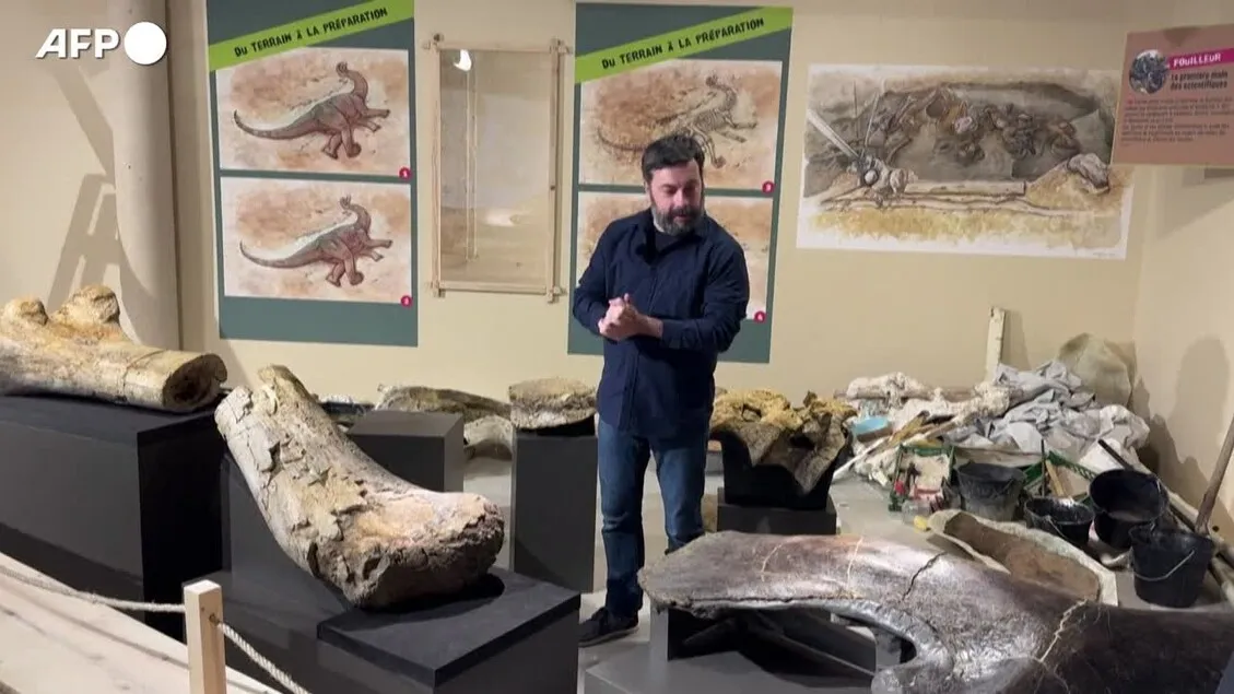 Fosil Dinosaurus Raksasa 20 Meter Gemparkan Museum Angoulême Prancis