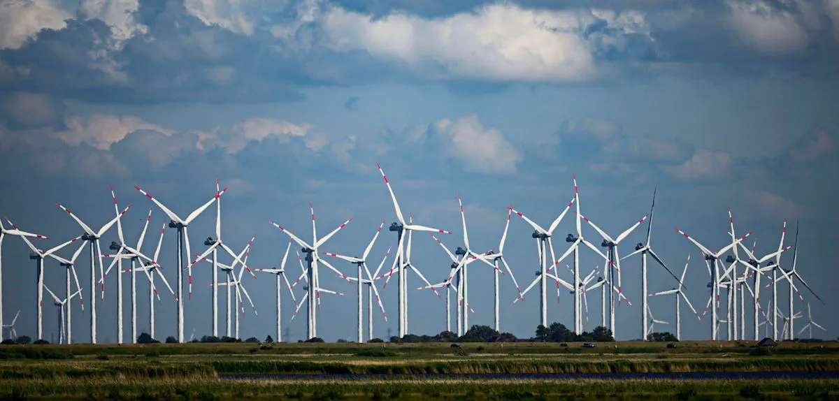 Revolusi Energi Jerman Utara: Desakan Zona Harga Listrik Mandiri Menguat