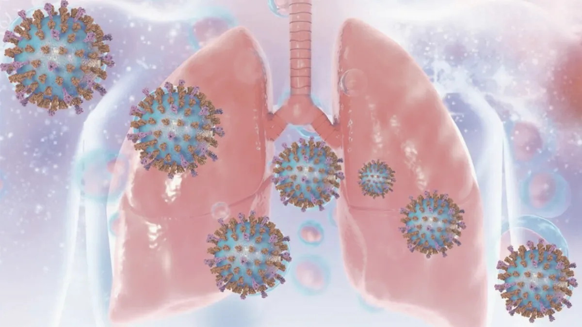 RSV's Silent Threat: 26,000 Hospitalized, 1,800 Dead Annually, Urgent Vaccination 2026