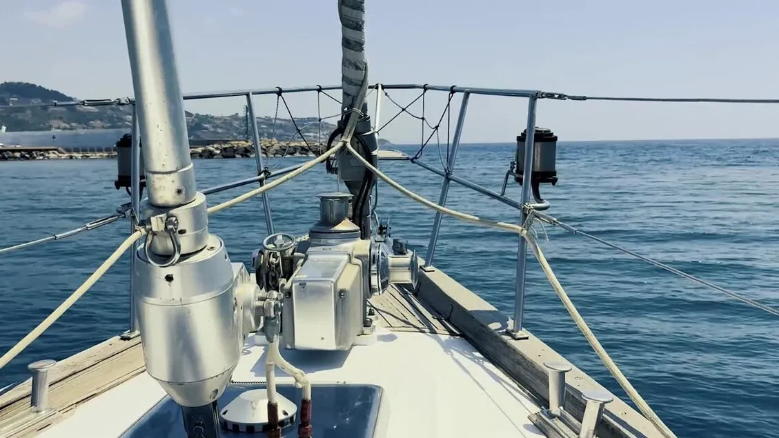Kejutan di Liguria: Keluarga Paus Sperma Muncul Dekat Perahu Thetys