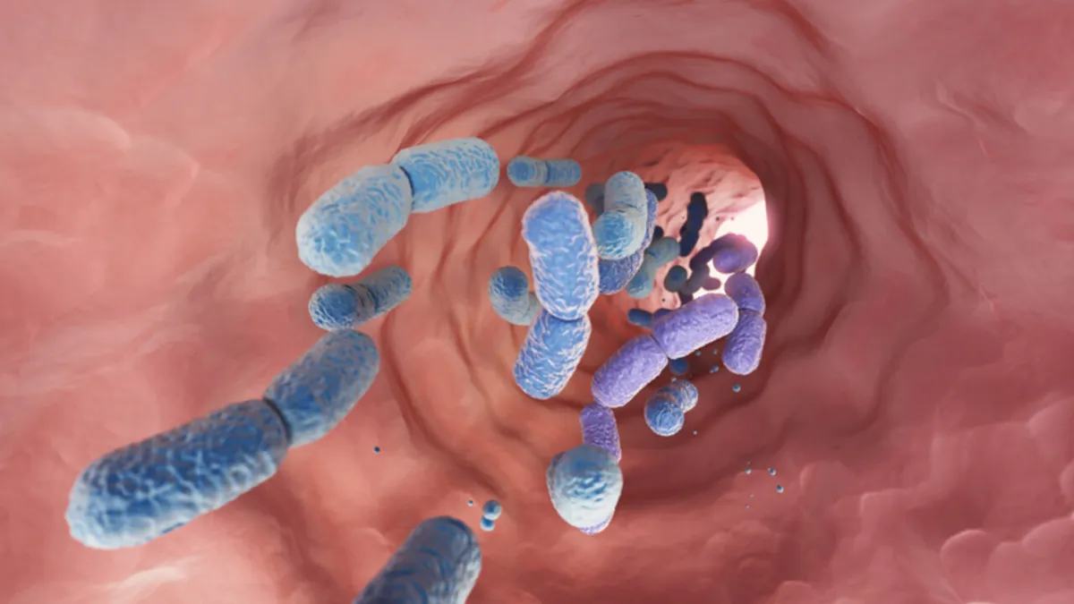 Gula Perparah Efek Antibiotik pada Usus: Ancaman Baru Kesehatan