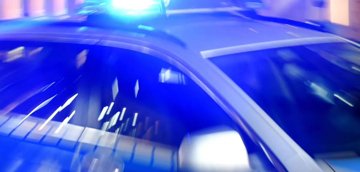 Nekat Masuk Kandang Bison Demi Sepatu, Pria di Munich Terjebak