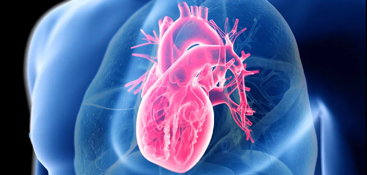 Swiss Cardiologist Unveils Eternal Heart Mystery: Beyond Diet, It's This!