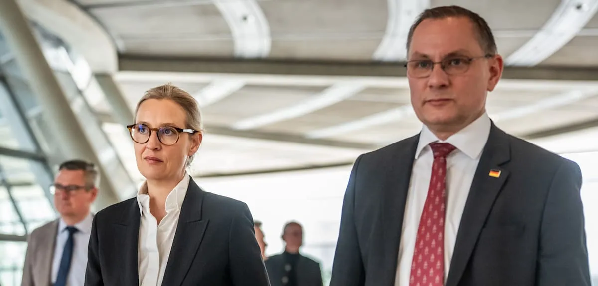 Threat of 'Covert Party Ban': Former German Constitutional Court President Highlights AfD