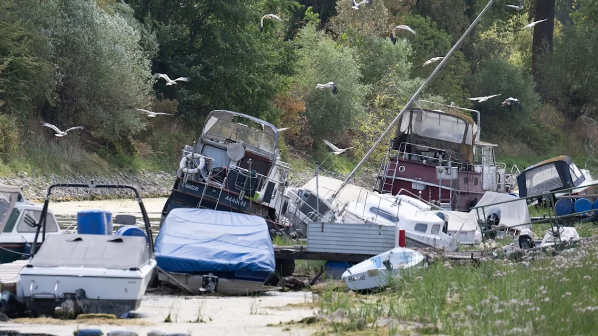 Rhine River Dries Up, European Supply Chains Face Collapse Threat in 2026!