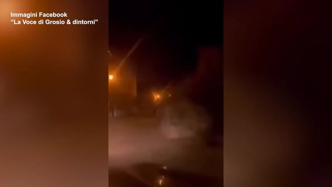 Beruang Liar Gegerkan Valtellina: Terekam Melintas Malam Hari di Permukiman