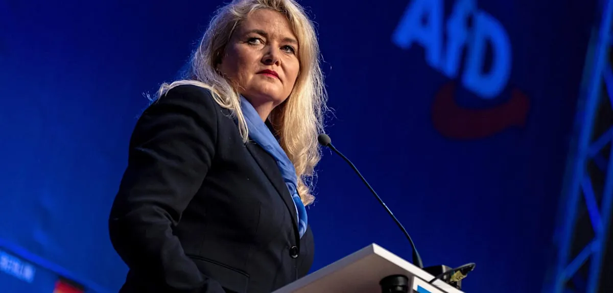 AfD Guncang Berlin: Tuntut Moratorium Mendesak Penerimaan Pencari Suaka
