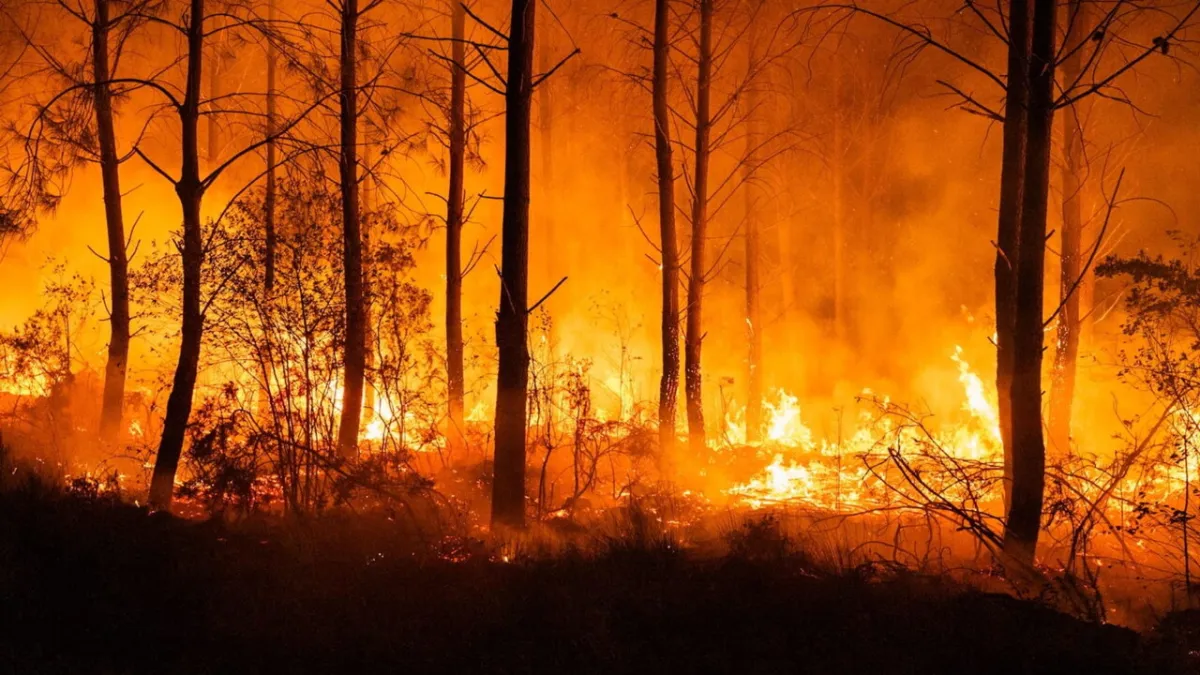 Europe Ablaze: Hundreds of Thousands Evacuated Amidst France-Spain Wildfires 2026