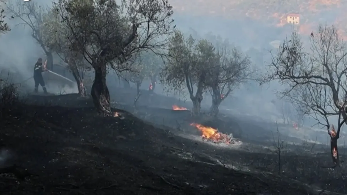 Yunani Terbakar Hebat: Tiga Petugas Pemadam Tewas, Lesbos Darurat Api