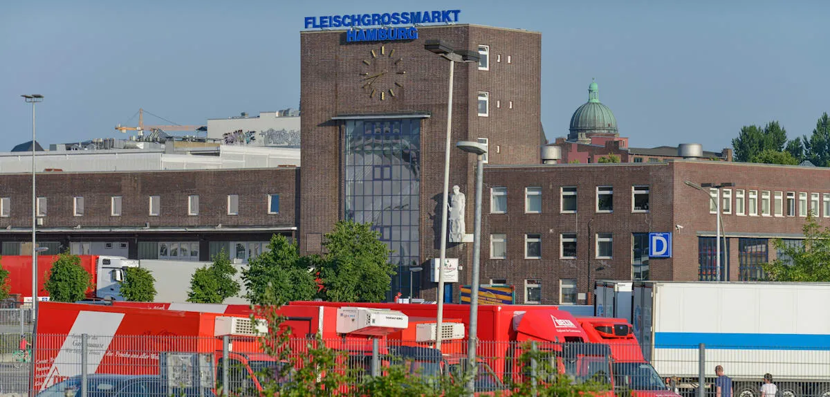 Hand Grenade Terror Rocks Hamburg: Near Prominent Boxing Studio, A Veiled Threat?