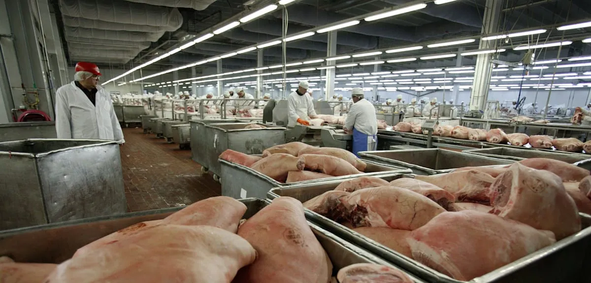 Criminal Network Manipulates Foreign Worker Data in Poland: Elaborate Scheme Uncovered