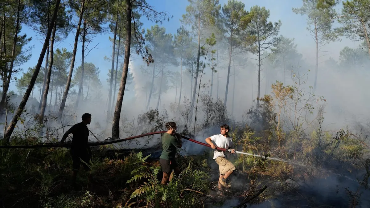 Hellish Fire Threat in France: Bordeaux Encircled, Evacuation Plan Nonexistent