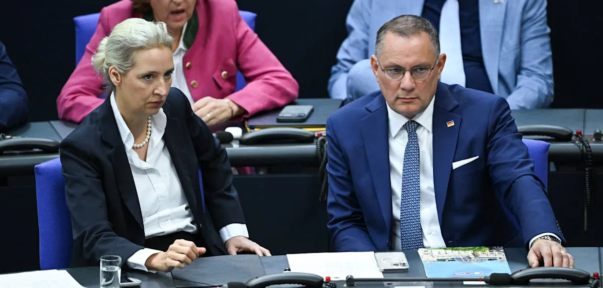 Germany Roils: AfD Support Plummets, Government Reforms Face Public Backlash