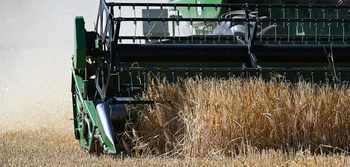 Ammerbuch Shock: Combine Harvester Runs Over Farmer's Wife, Moment of Care Ends in Disaster