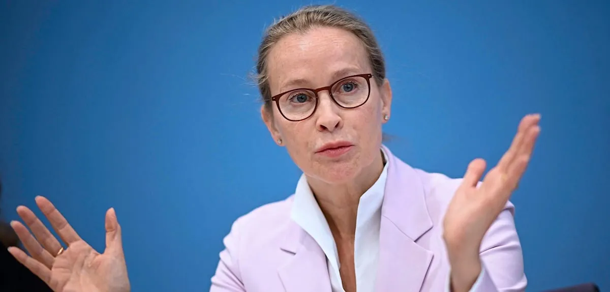 Universitas Hamburg: Tuduhan Plagiat Frauke Brosius-Gersdorf Tidak Terbukti