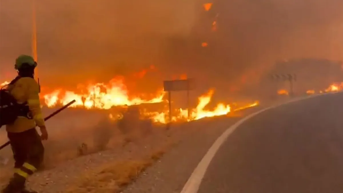 Deadly Andalusia Tragedy: Forest Fire Traps Dozens, Many Missing