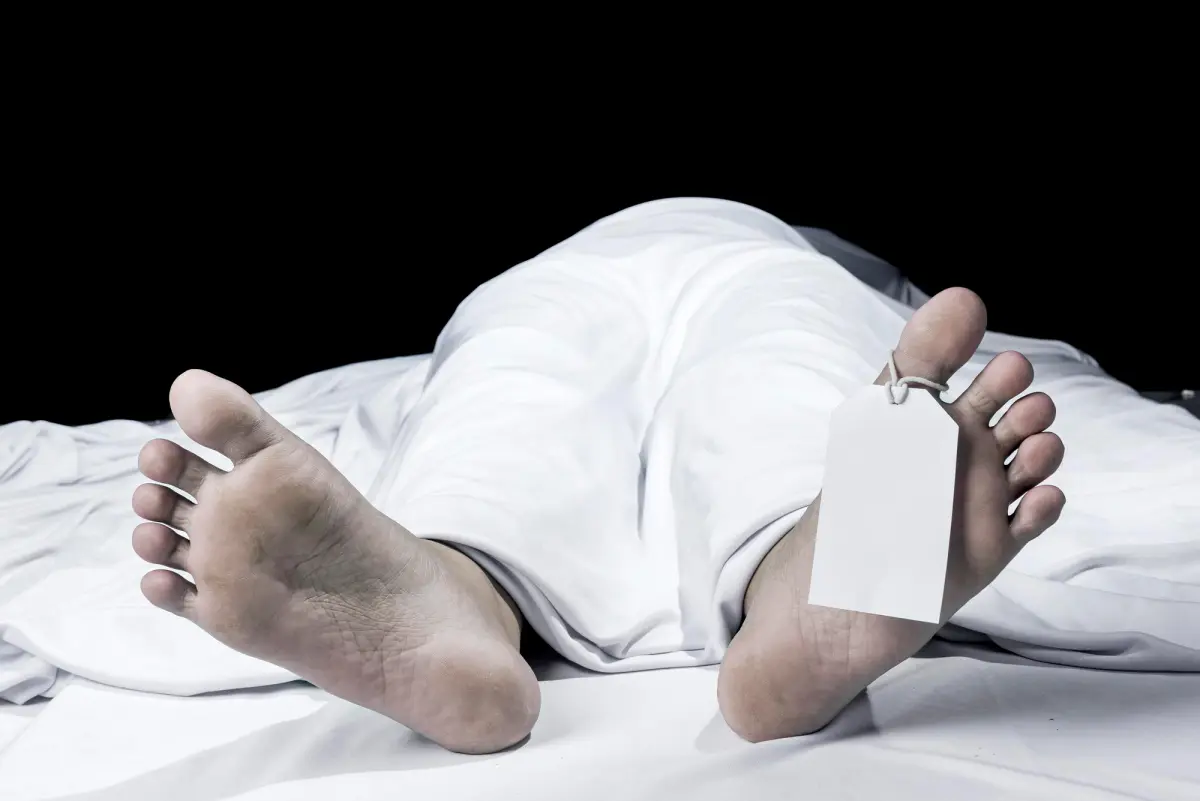 Cucu Mpok Nori Tewas Dibunuh Eks Suami Irak: Investigasi Polisi Berlangsung