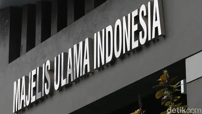 Fatwa MUI Gemparkan Haji 2026: Tolak Penyembelihan Dam di Tanah Air