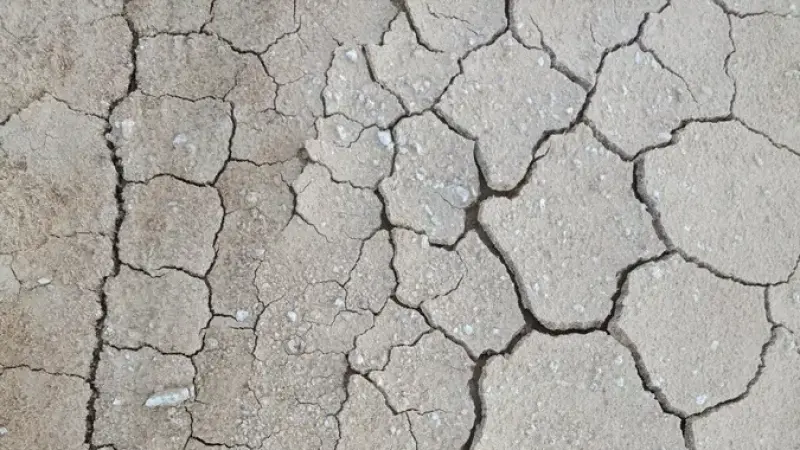 BMKG Bantah 'Godzilla El Nino', Prediksi Kemarau 2026 Lebih Kering dari Normal