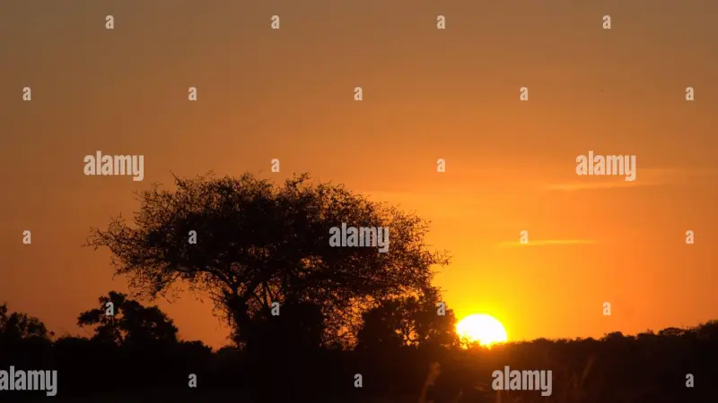 BMKG Tegaskan Kemarau 2026 Lebih Kering: Bukan Terparah Sepanjang Tiga Dekade