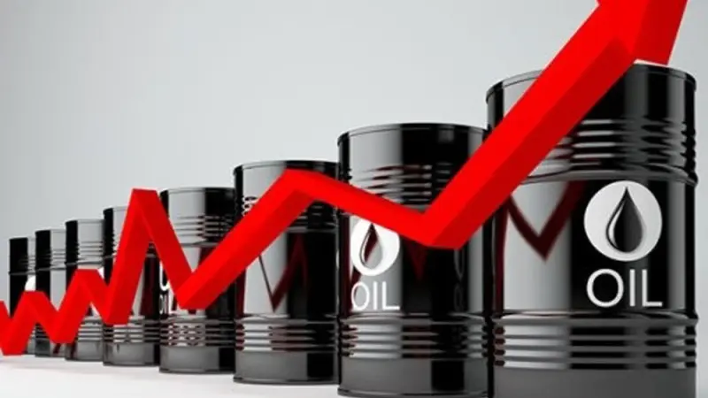 Konflik Laut Merah Meluas: Jalur Minyak Dunia Terancam Krisis Global