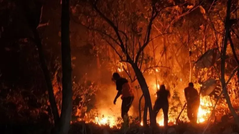 Prabowo Sampaikan Pesan Haru: Apresiasi Sugianto, Penyelamat Lansia Korsel