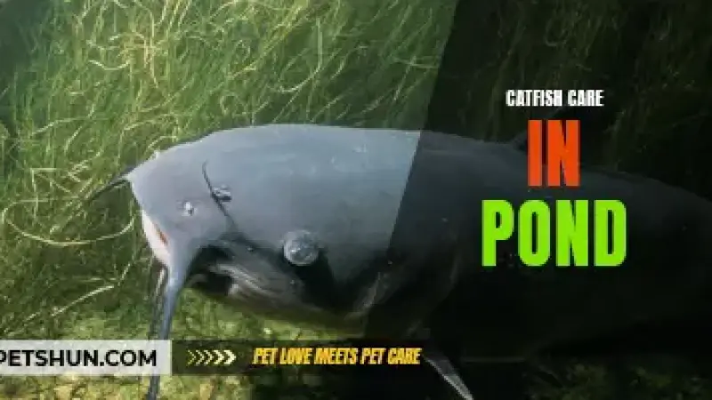 Skandal Pangan Jakarta: Penjual Daging Ikan Sapu-sapu Diamankan, DPRD Minta Pengawasan Diperketat