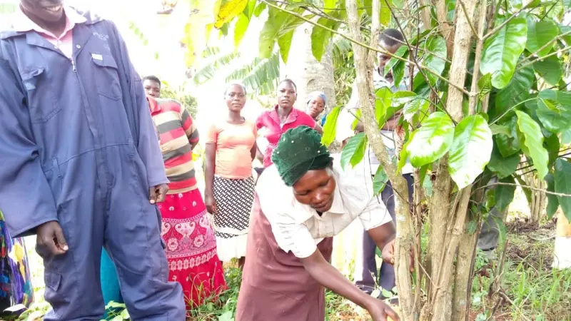 Pemerintah Buka 30 Ribu Lowongan Manajer Koperasi Desa Merah Putih: Kesempatan Emas Pembangunan Ekonomi