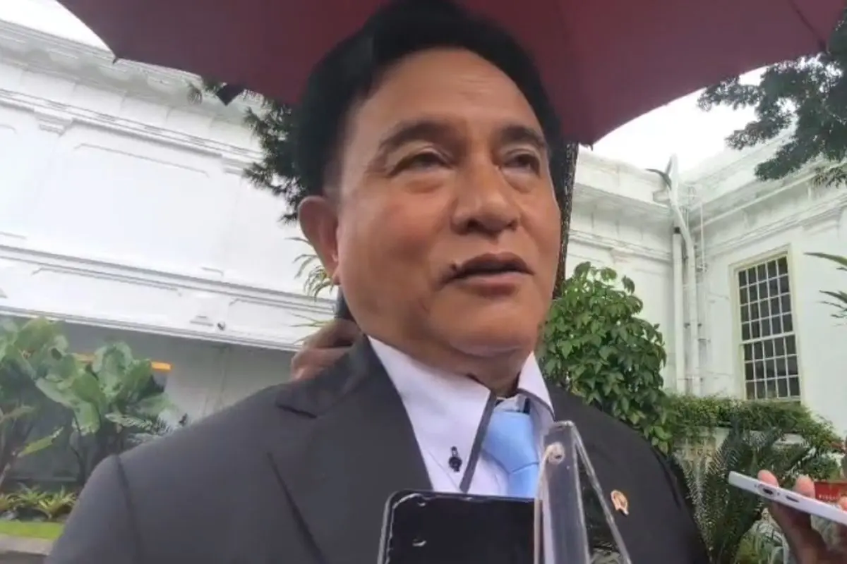 Yusril: Pemerintah Tidak Pernah Larang Nobar Film Pesta Babi Secara Resmi